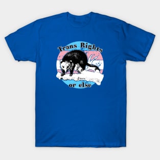 Trans Rights - Opossum T-Shirt